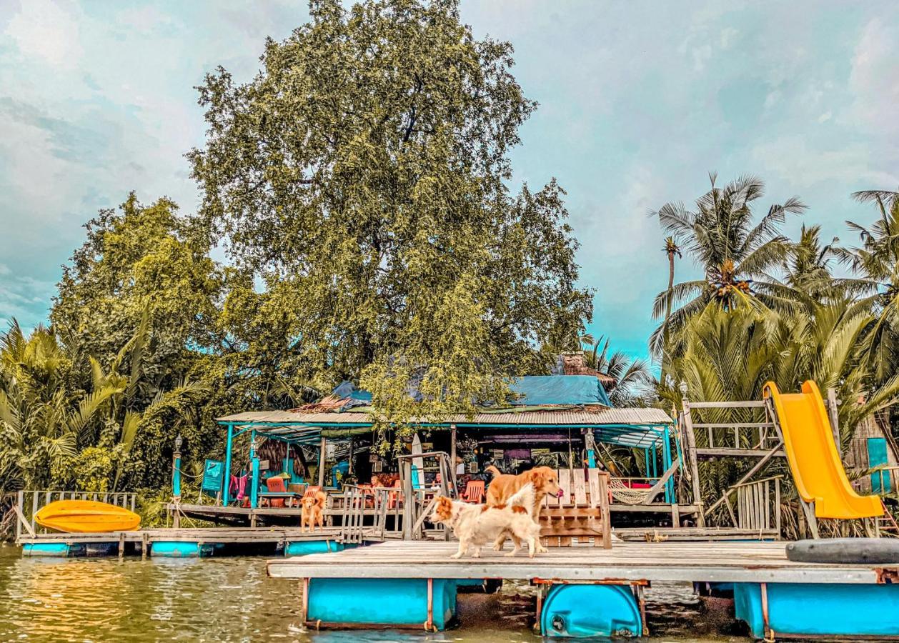 Yellow Sun Kampot Luaran gambar